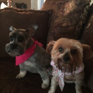 Meet your Posher, Melanie